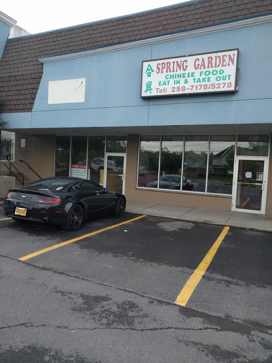 Spring Garden-4