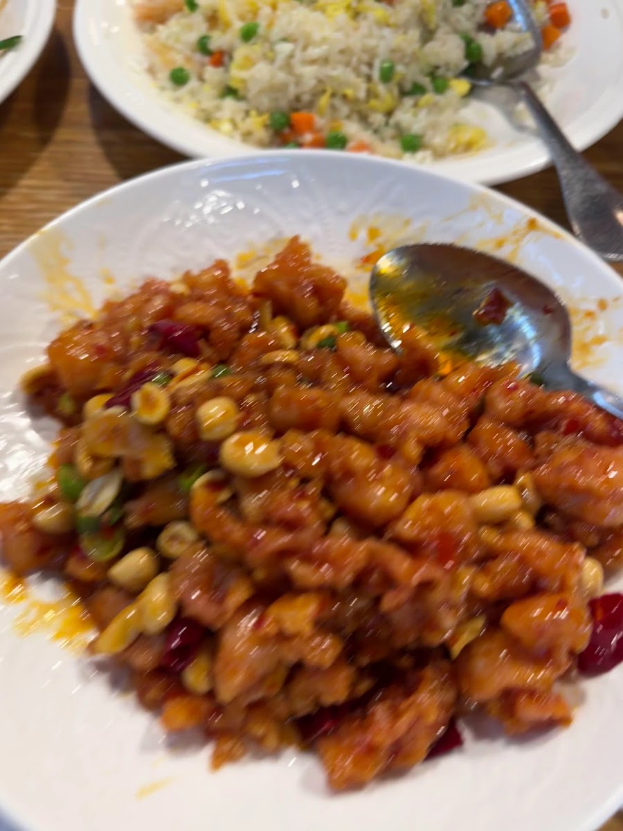 Spicy Style of Sichuan-2
