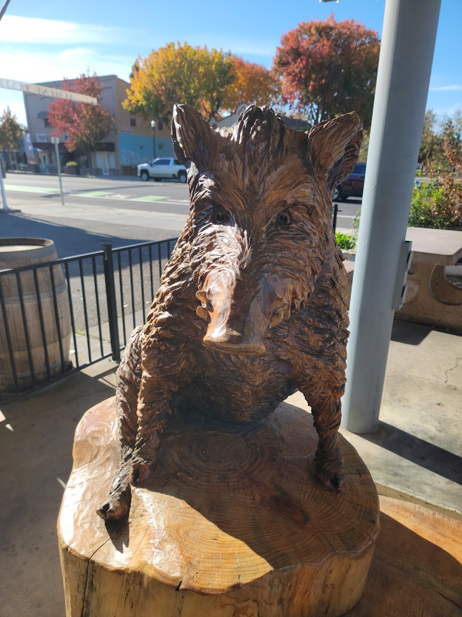 Hog Canyon Cafe-4