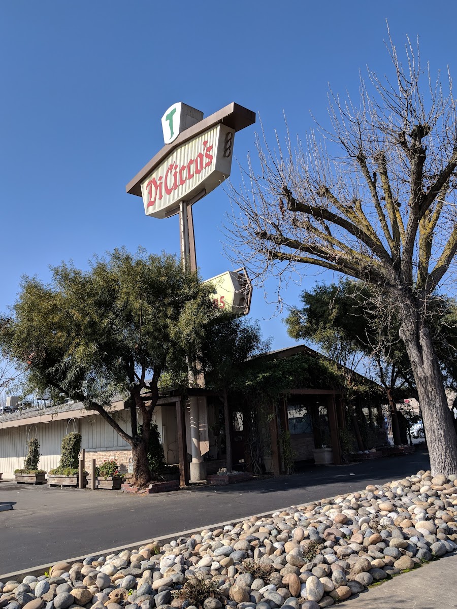 Diciccos Madera-3