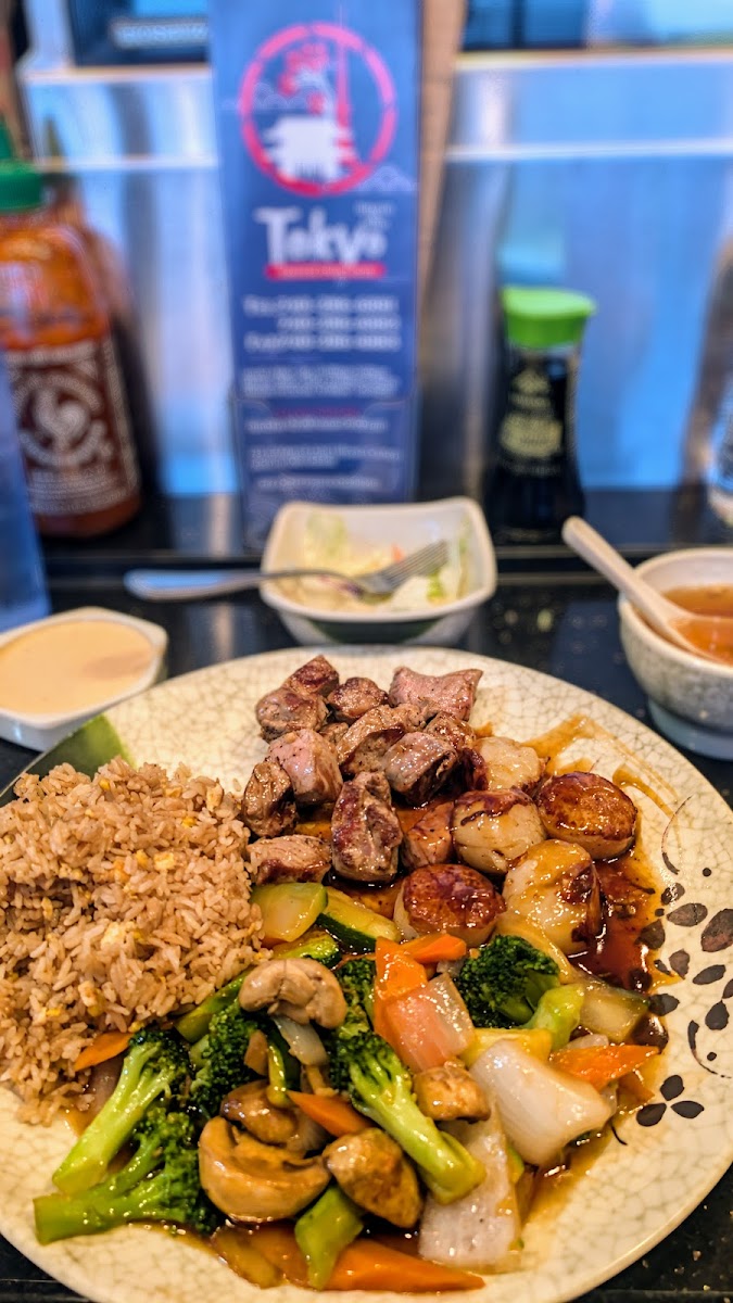 Tokyo Steak House-3
