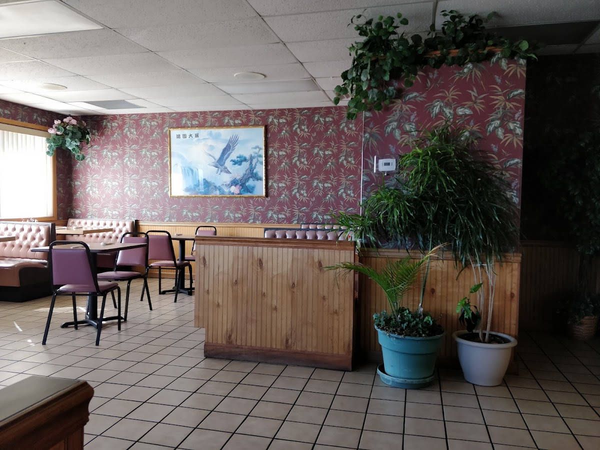 Stars Chinese Gourmet Restaurant-3
