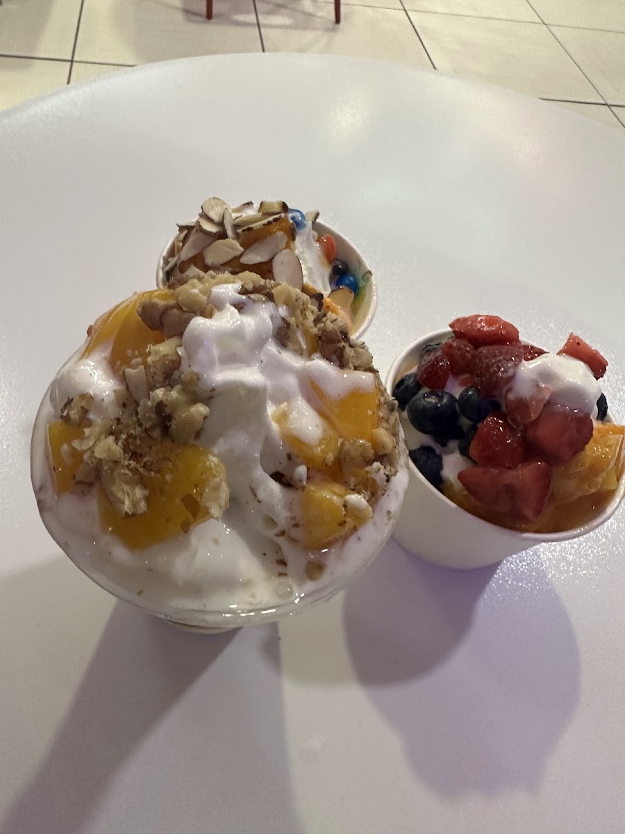 Yogo Berry-4