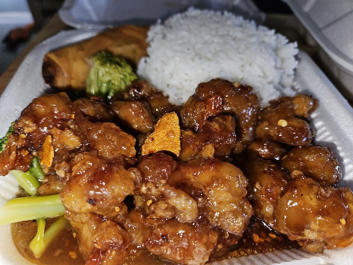 Panda Garden Chinese Restaurant-5