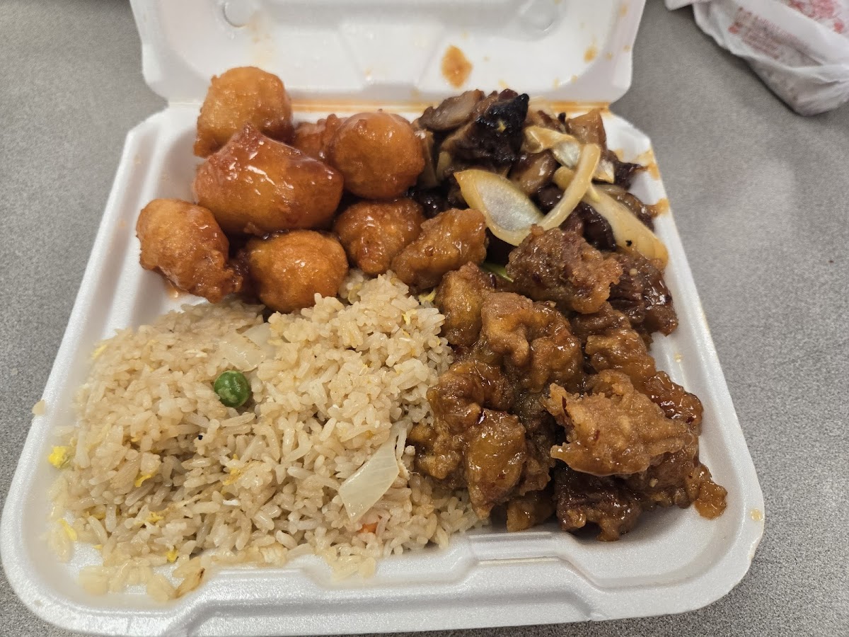 Panda Kitchen Chinese