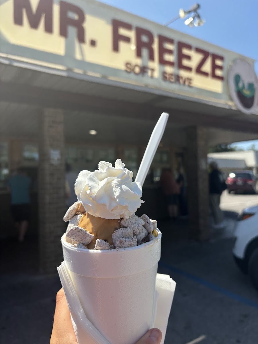Mr. Freeze-2