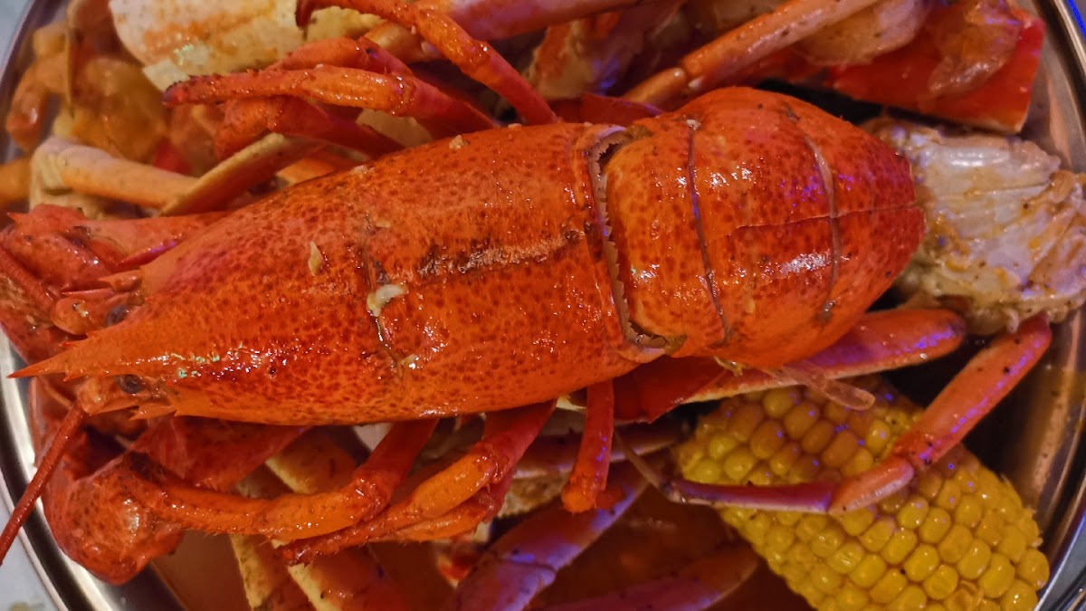 The Madden Crab-2