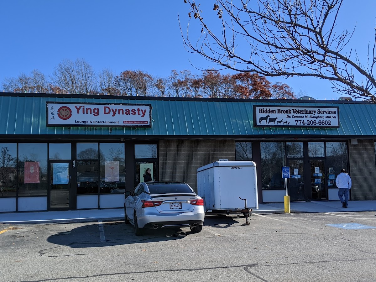 Ying Dynasty Of Dartmouth