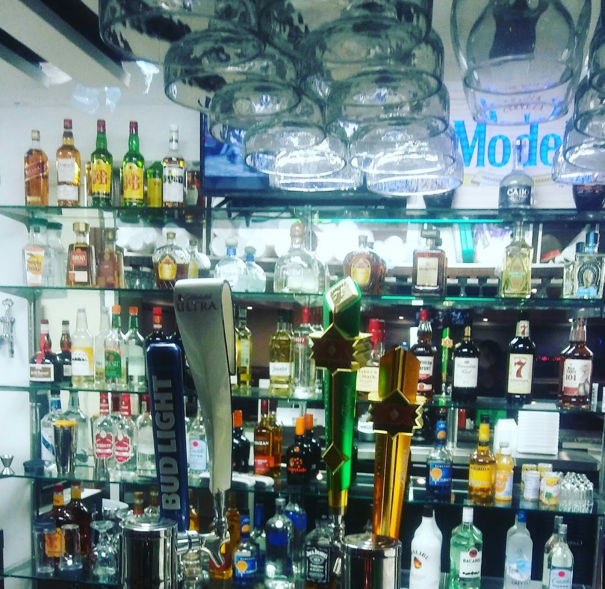 Blue Agave