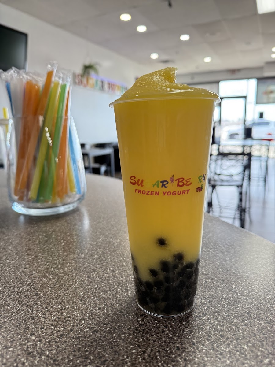 Sugar Berry Frozen Yogurt-3