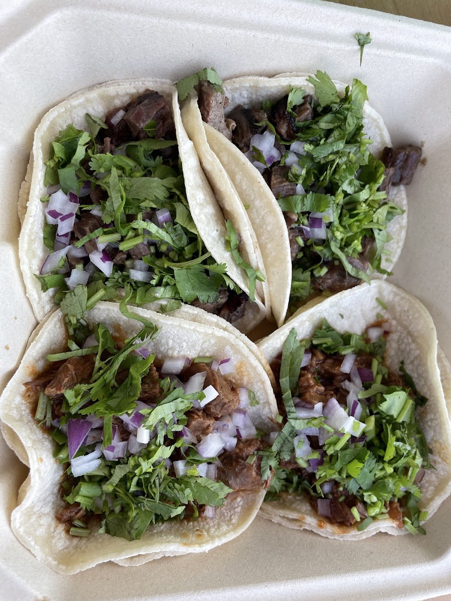 Salsas Taco Bar-2