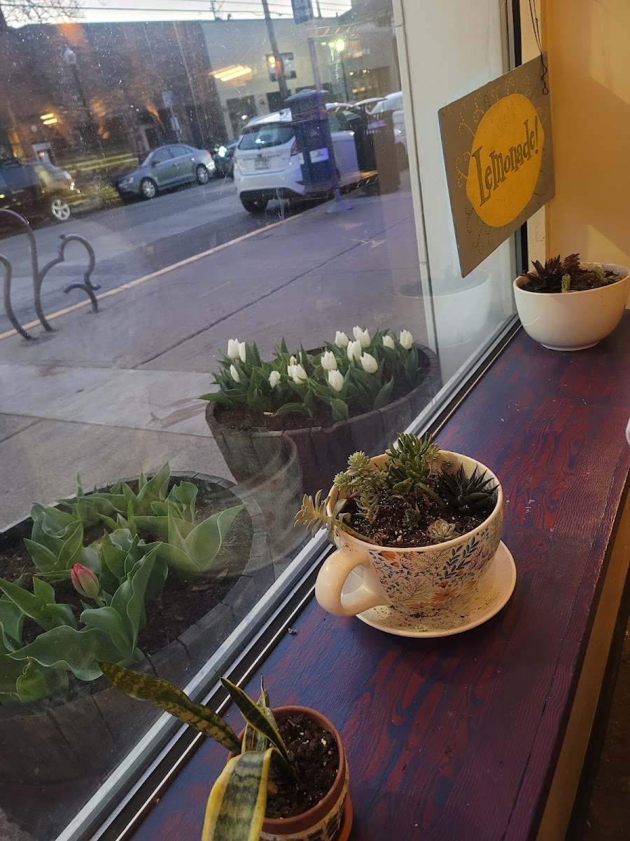 61c Cafe-2
