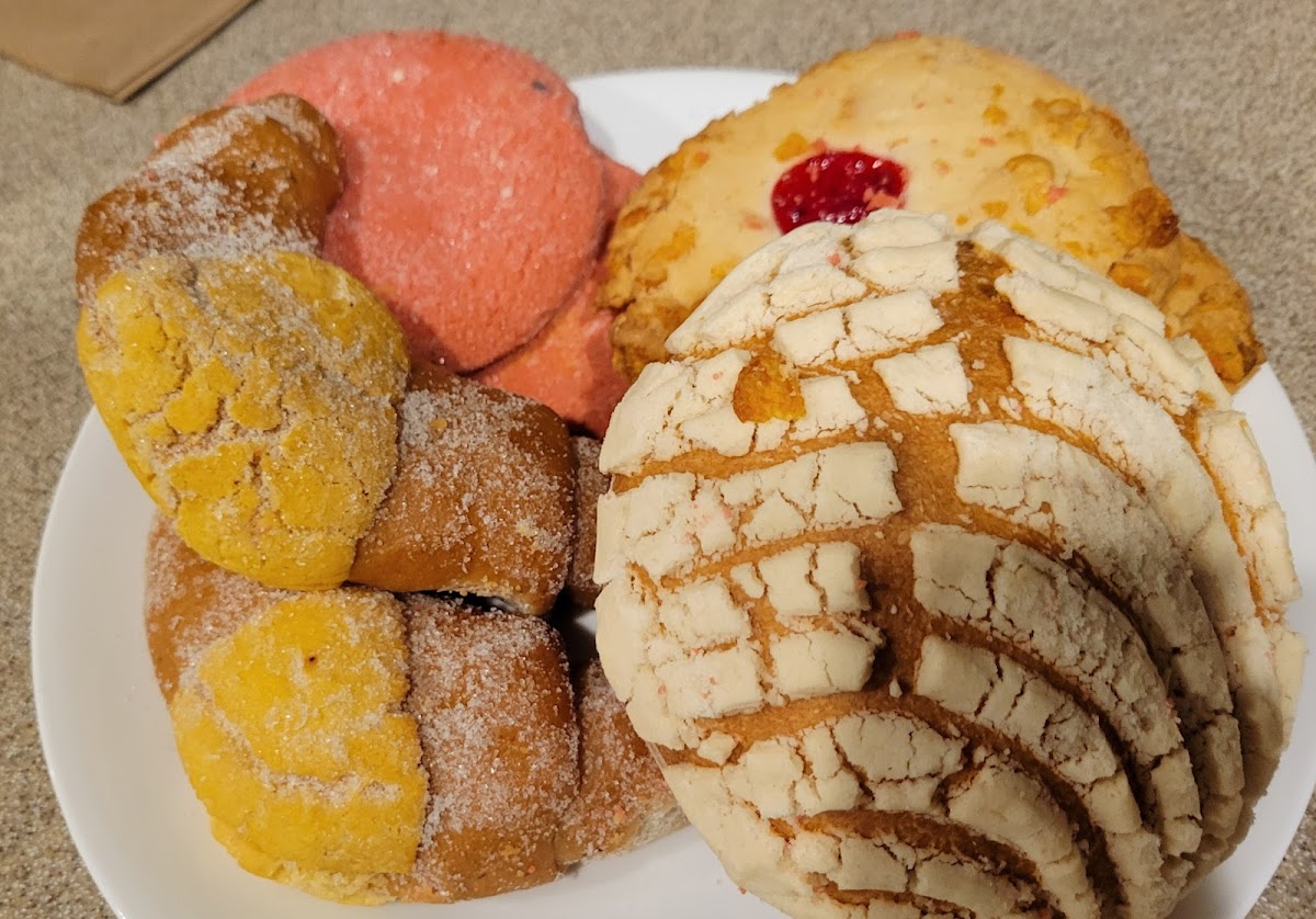 Panaderia Celaya-2