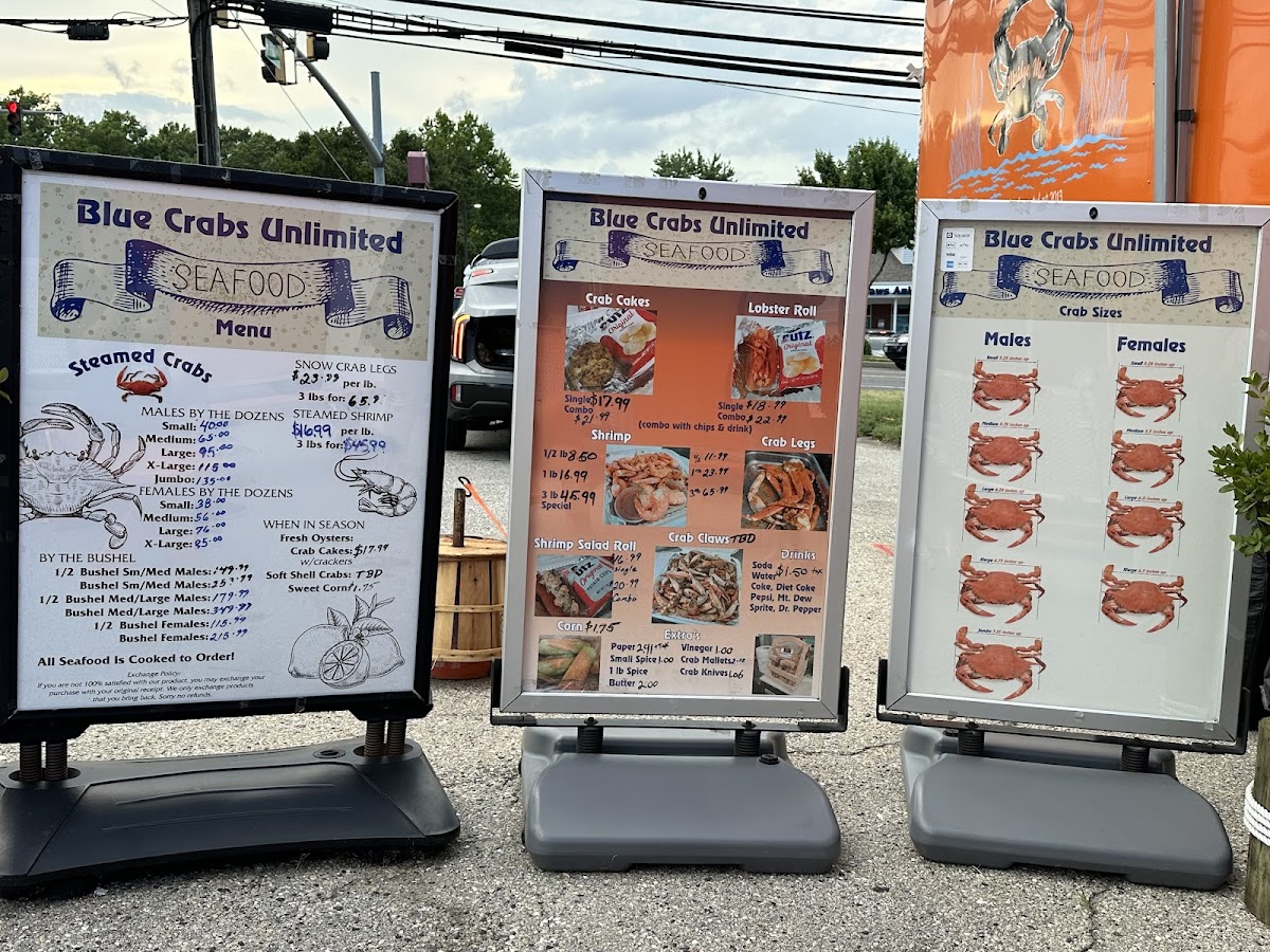 Blue Crabs Unlimited-4