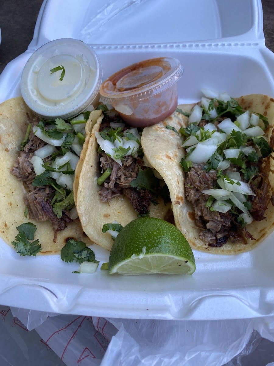 Taco Wagon-3