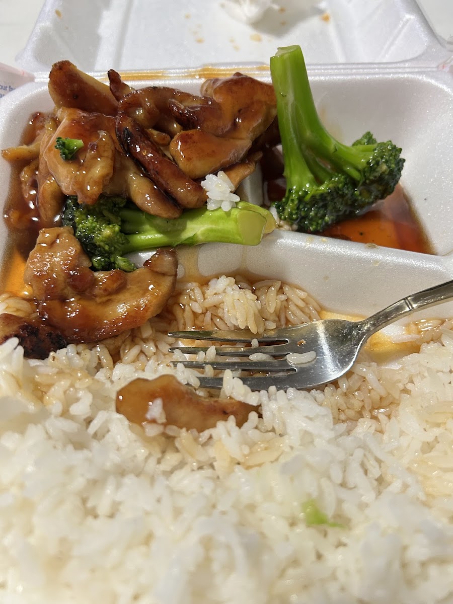 Yummy Yummy Teriyaki Express-3