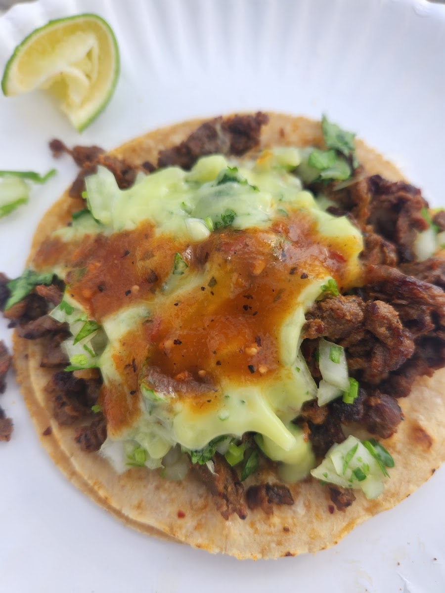 Spin Taco-4