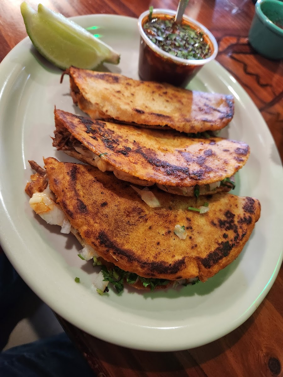 El Mariachi Garibaldi-4