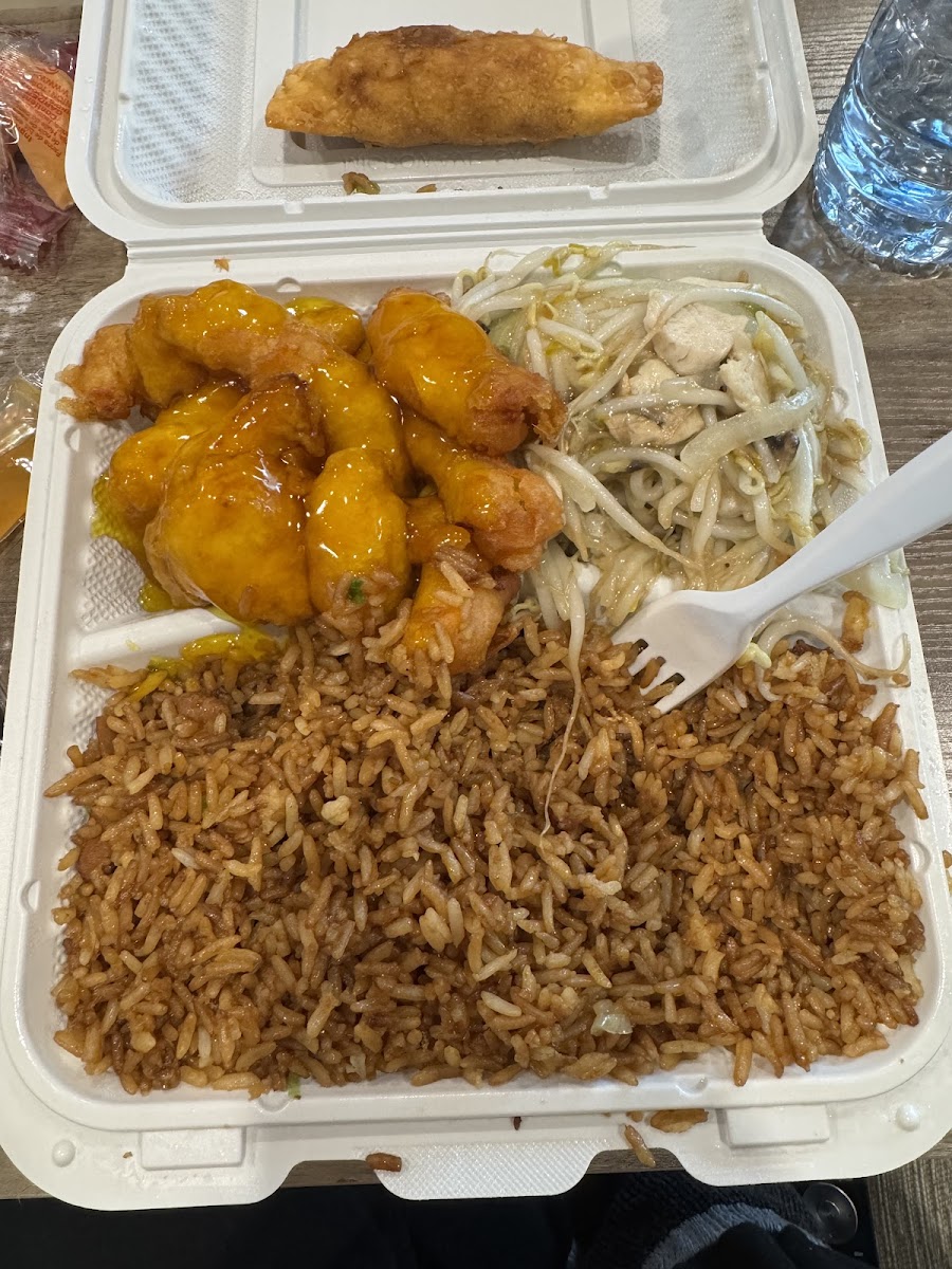 Golden Fry Chinese Restaurant-5