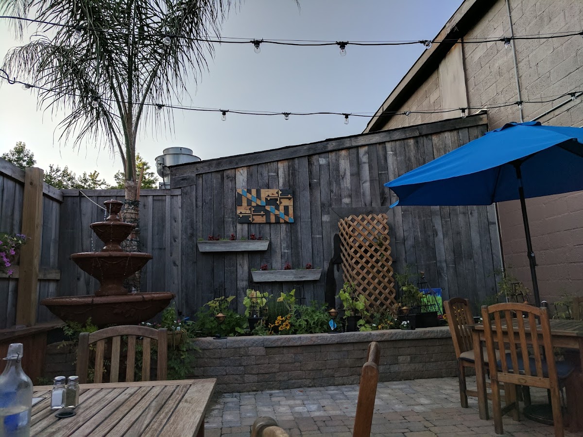 The Blue Dog Saloon