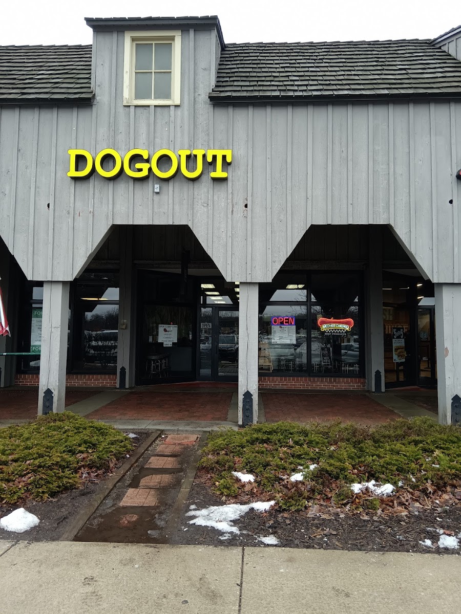 Dogout-3