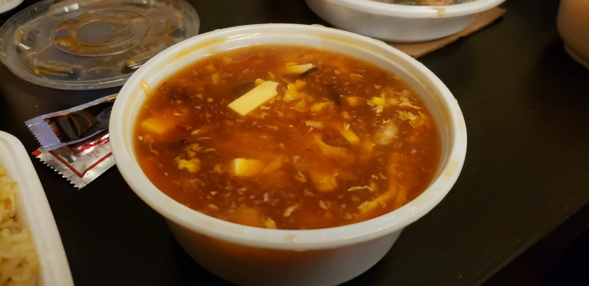 Dragon Village Restaurant & Won Ton House-3