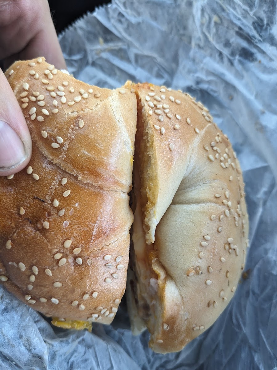 Garfield Hot Bagels-3
