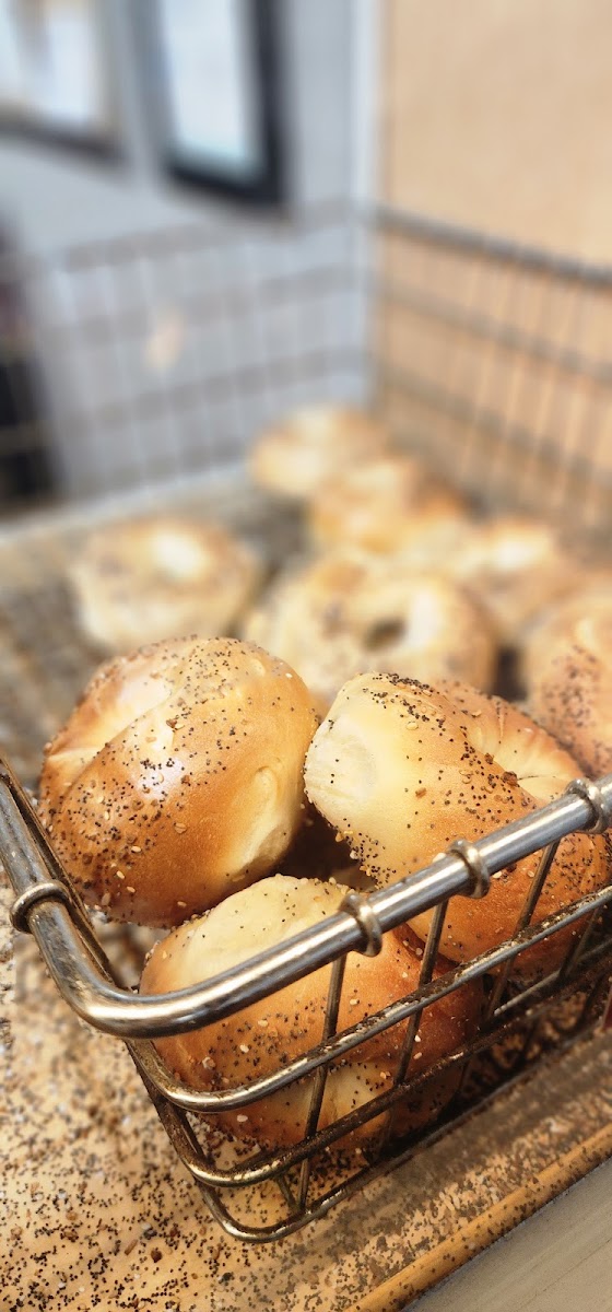 Garfield Hot Bagels-4