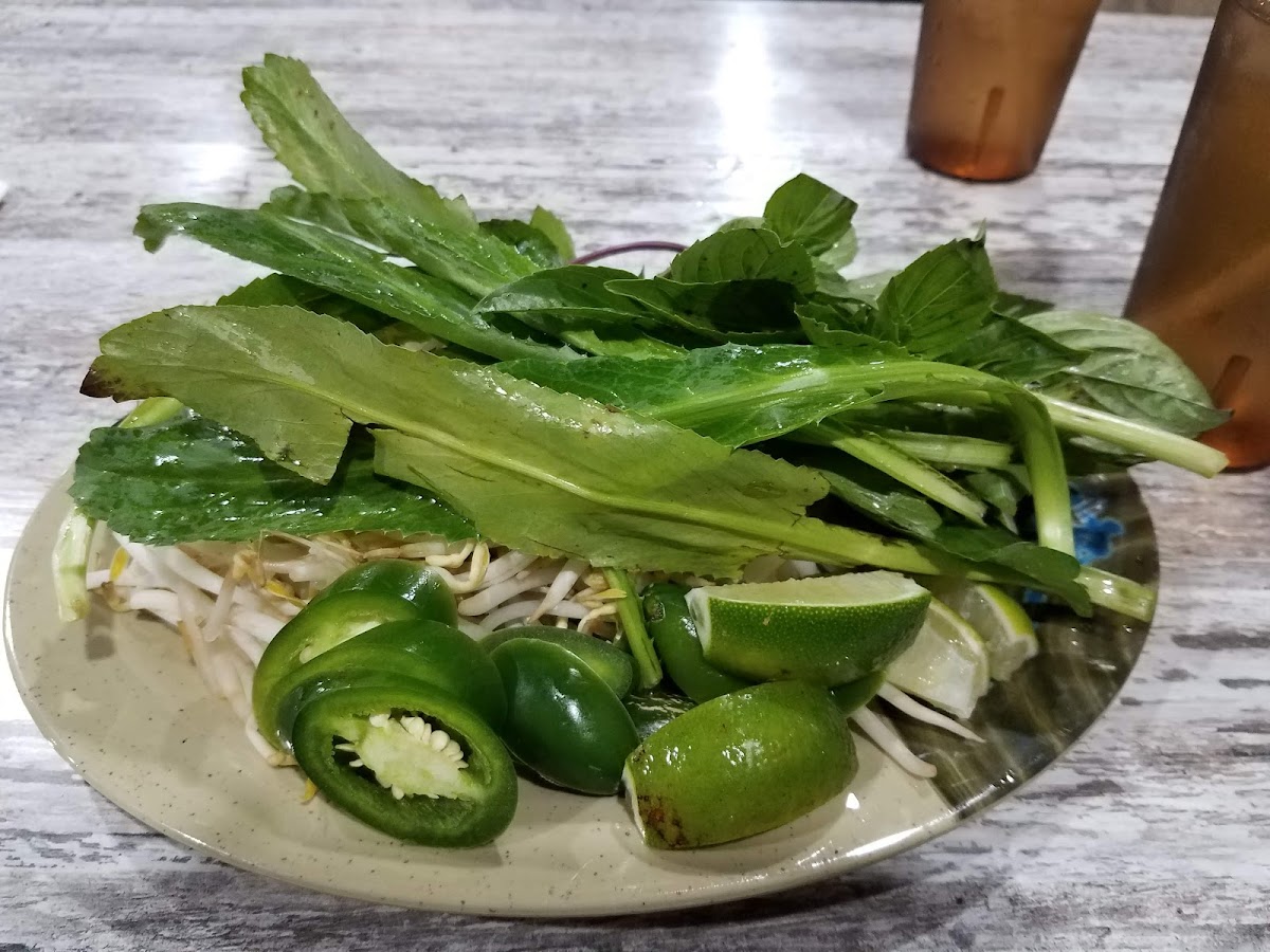 Dragon Pho-5