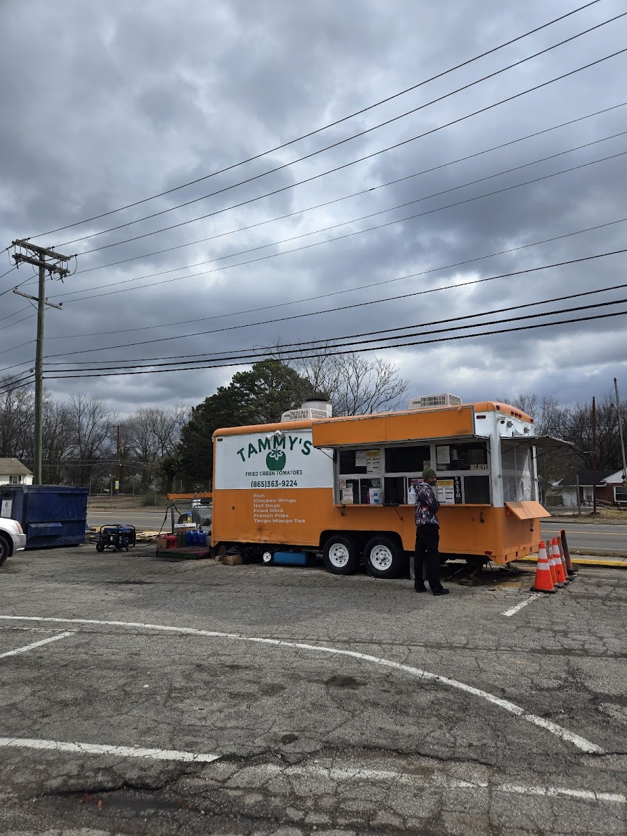 Tammy's Fish & Fried Green Tomatoes-2