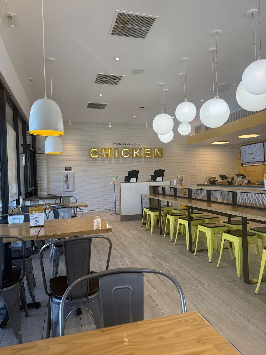 Starbird Chicken-4
