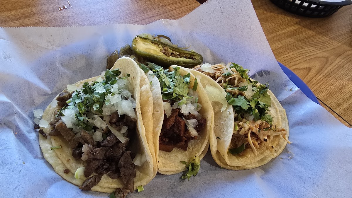 Salsa's Taqueria-3