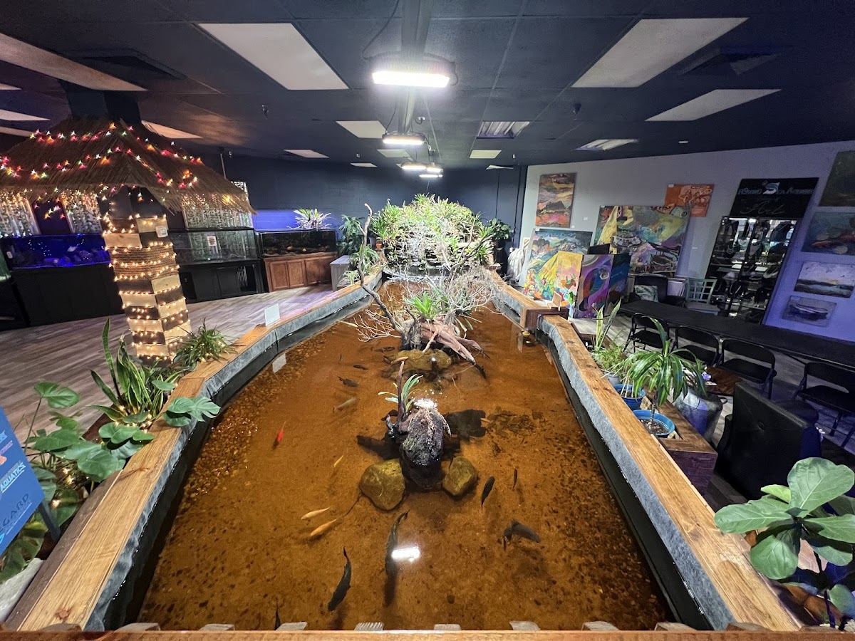 Floating Sea Aquatics-2