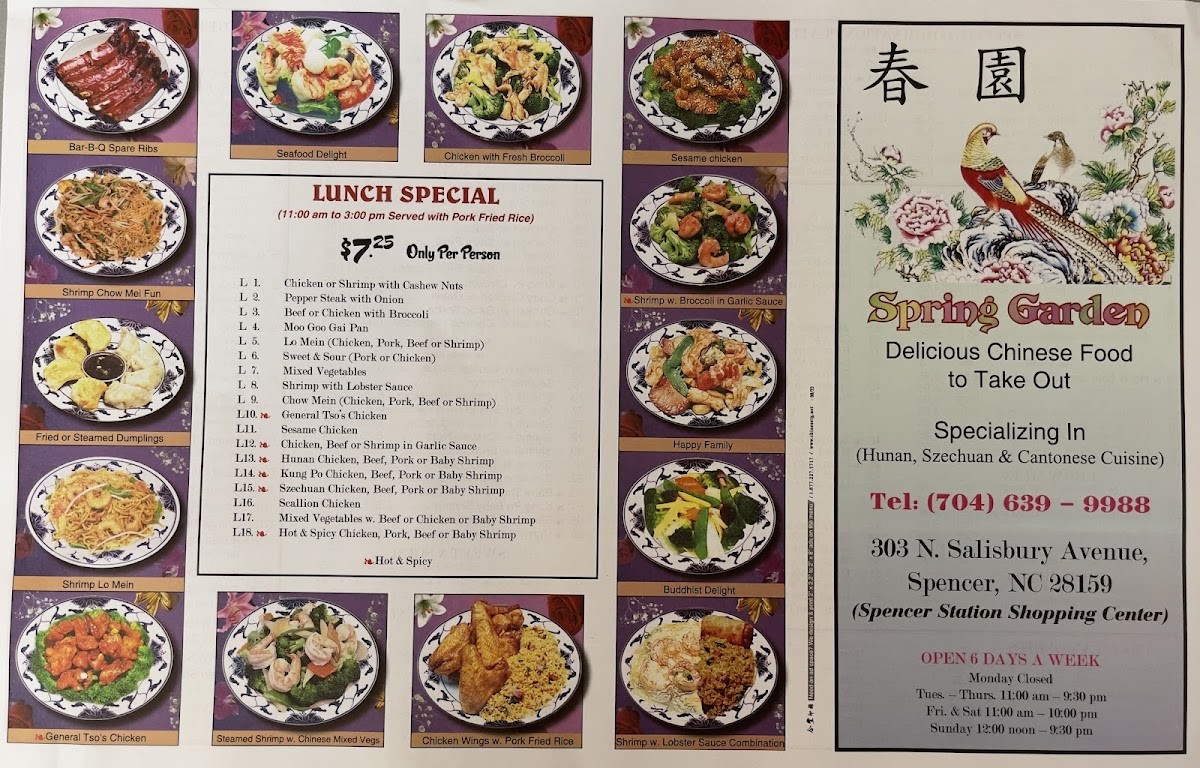 Spring Garden Chinese Restaurant-4