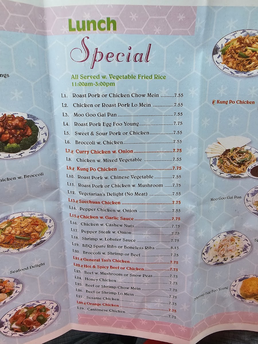 Speedy Wok-5