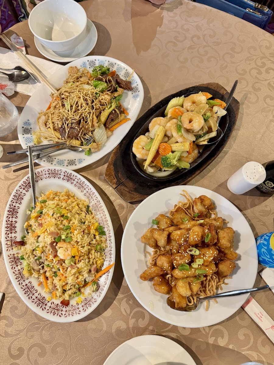 Hot Wok Chinese Restaurant-2