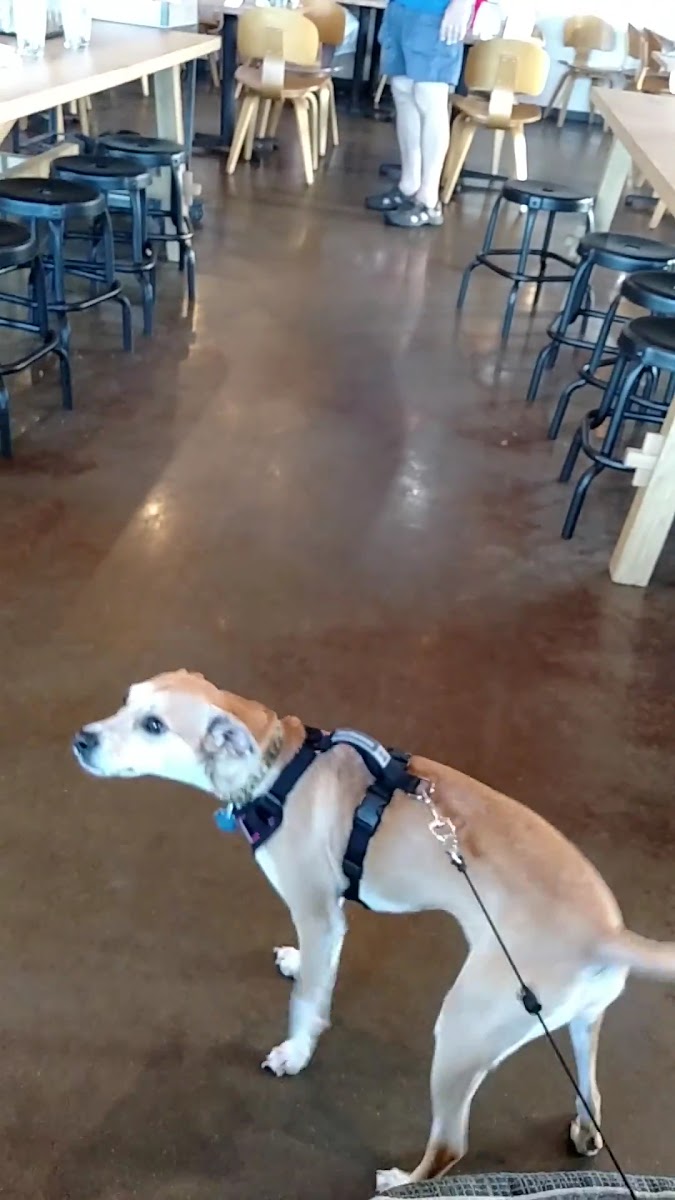 Fetch Bar & Grill-2
