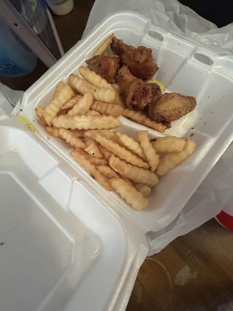 BTJ Wings-3