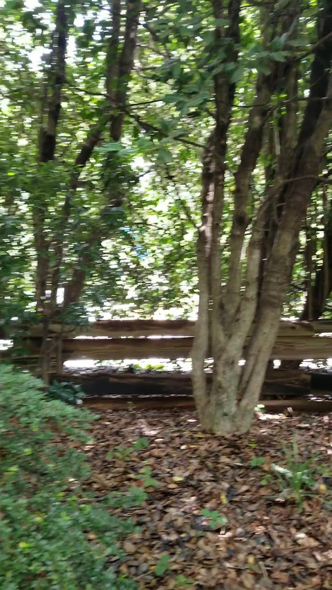 Horseradish Grill-2