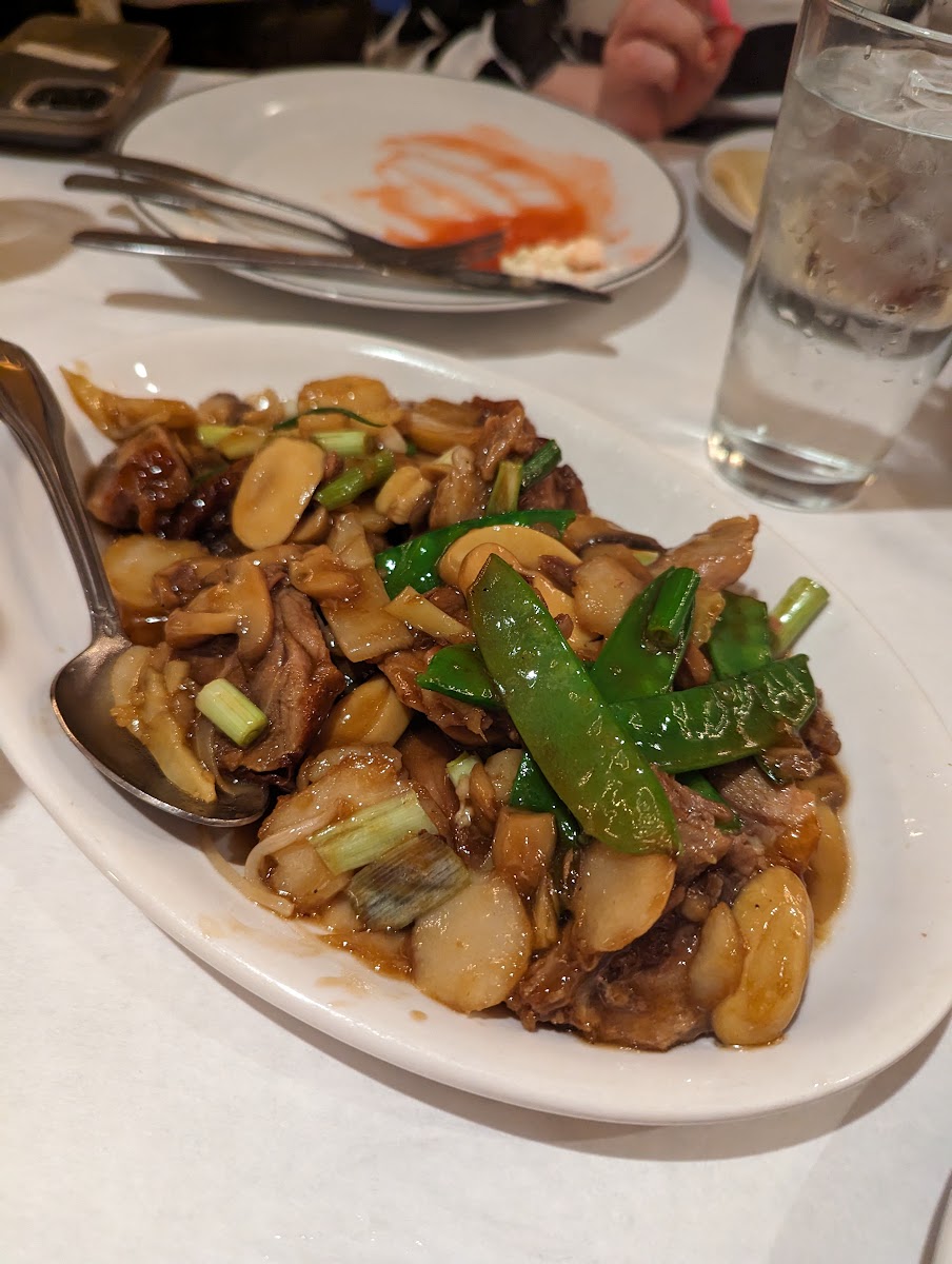 Princess Garden Restaurant-2