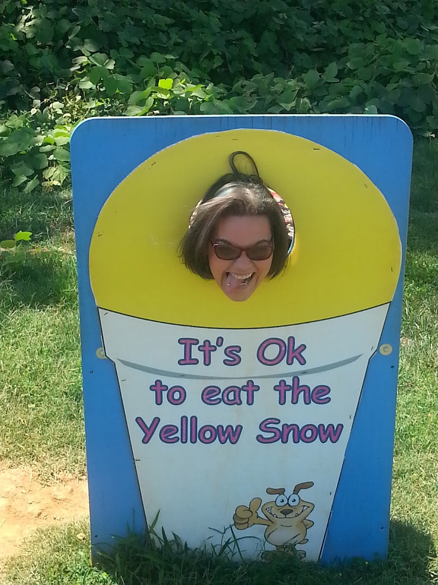 Pelican's SnoBalls-3