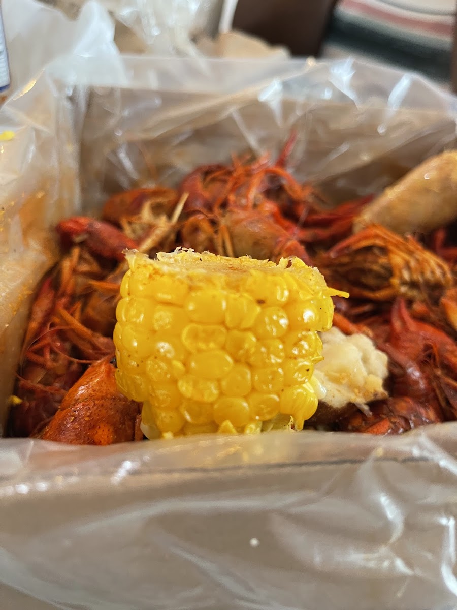Rubba Boot Crawfish-5