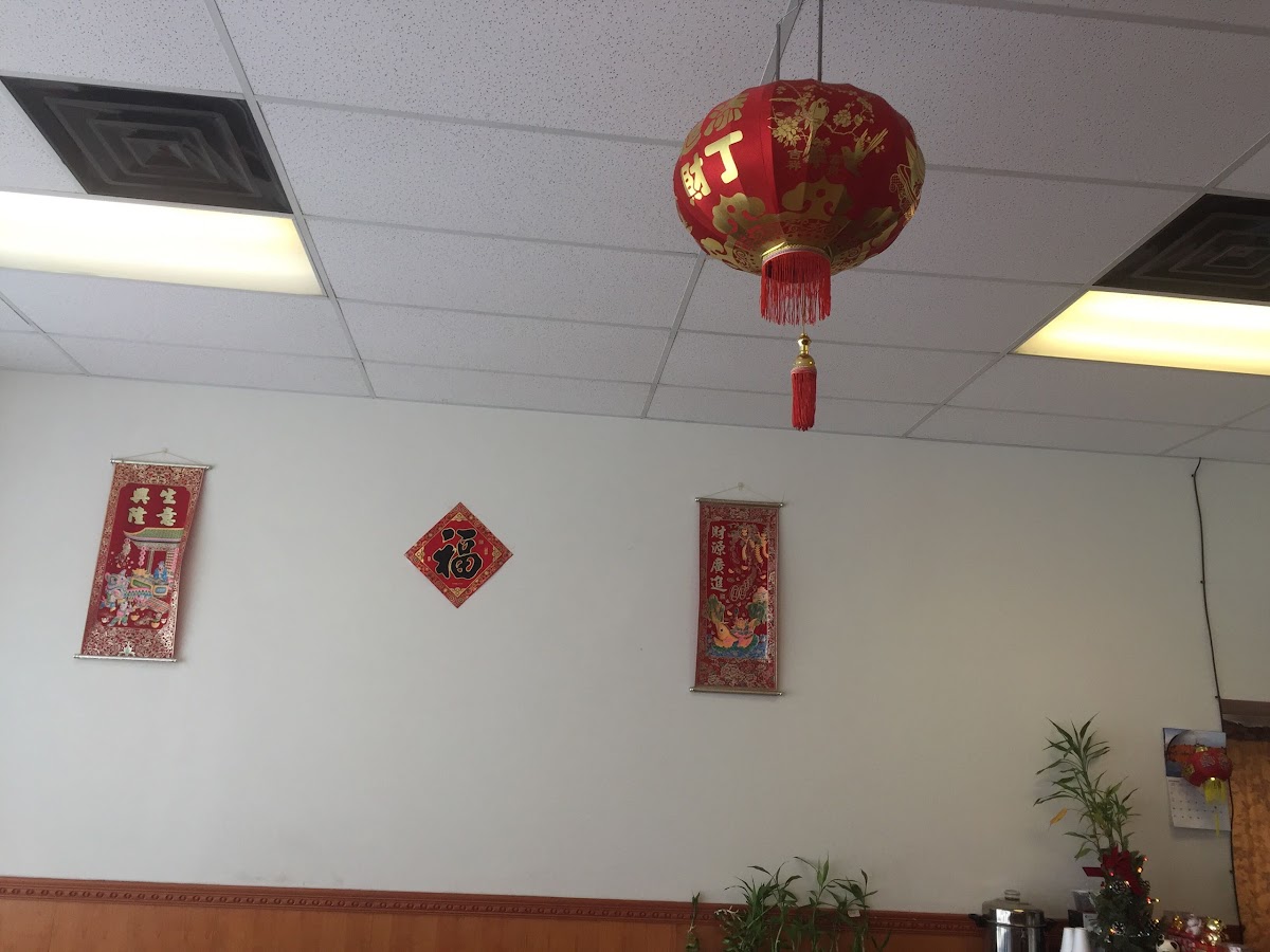 China Lee-4