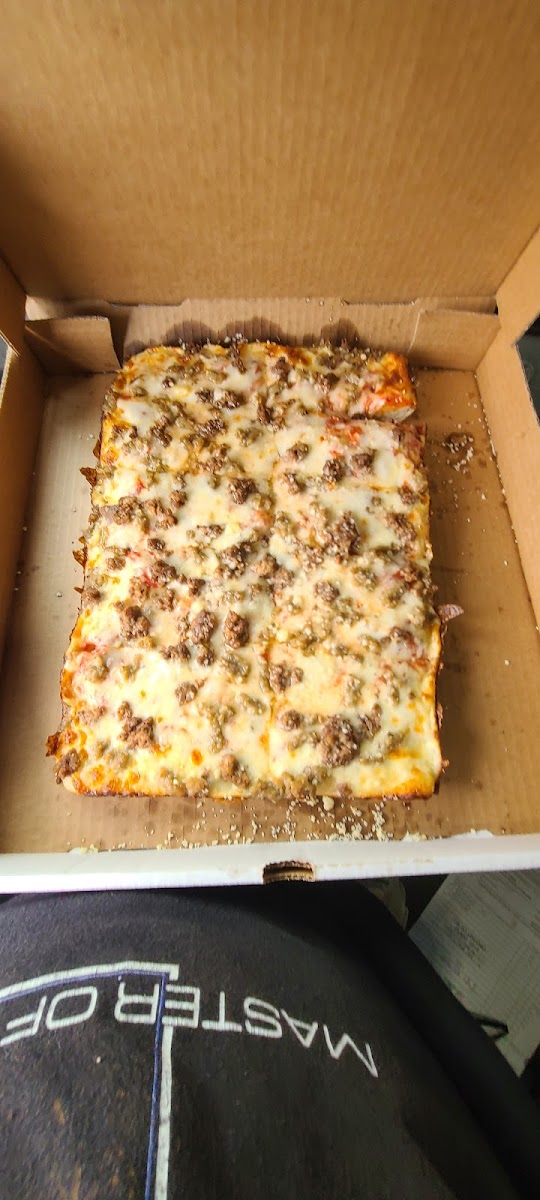 Almont Roza's Pizza-3