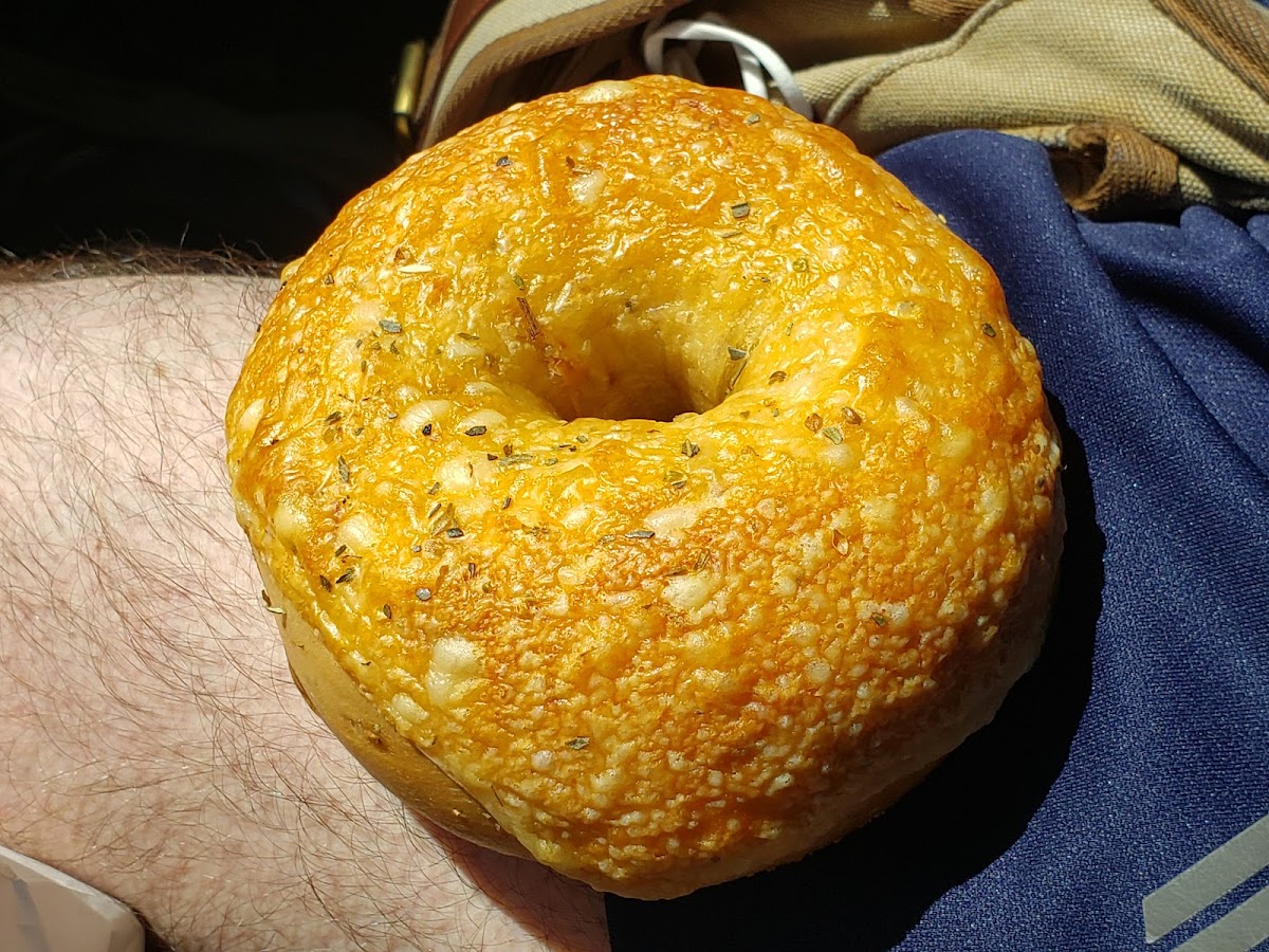 House of Bagels-4