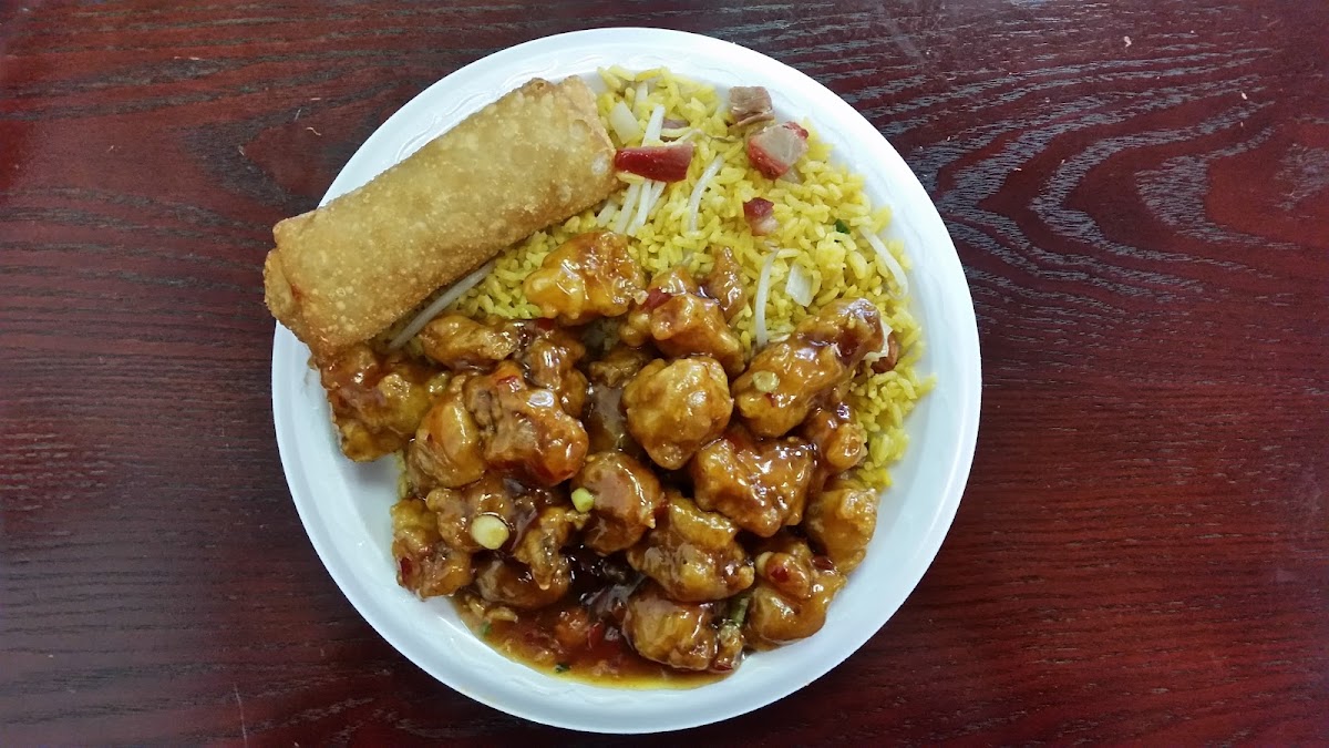 Green Garden-2