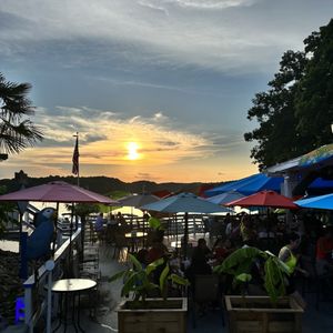 Blue Parrot Grill