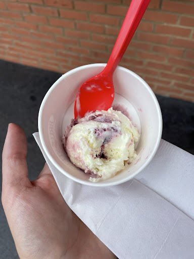 Bruster's Real Ice Cream-2