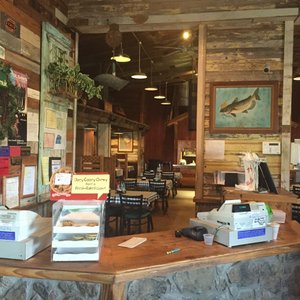 Catfish King-5