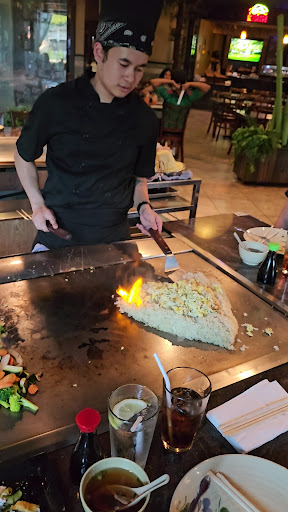 Domo Japanese Sushi Grill and Bar-2
